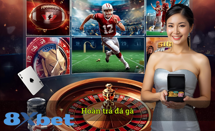 Hoàn trả đá gà 8xbet 2026