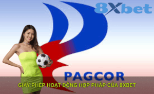Thống kê việt vị